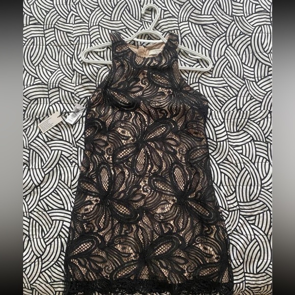 Babaton Henry Dress - Picture 1 of 1